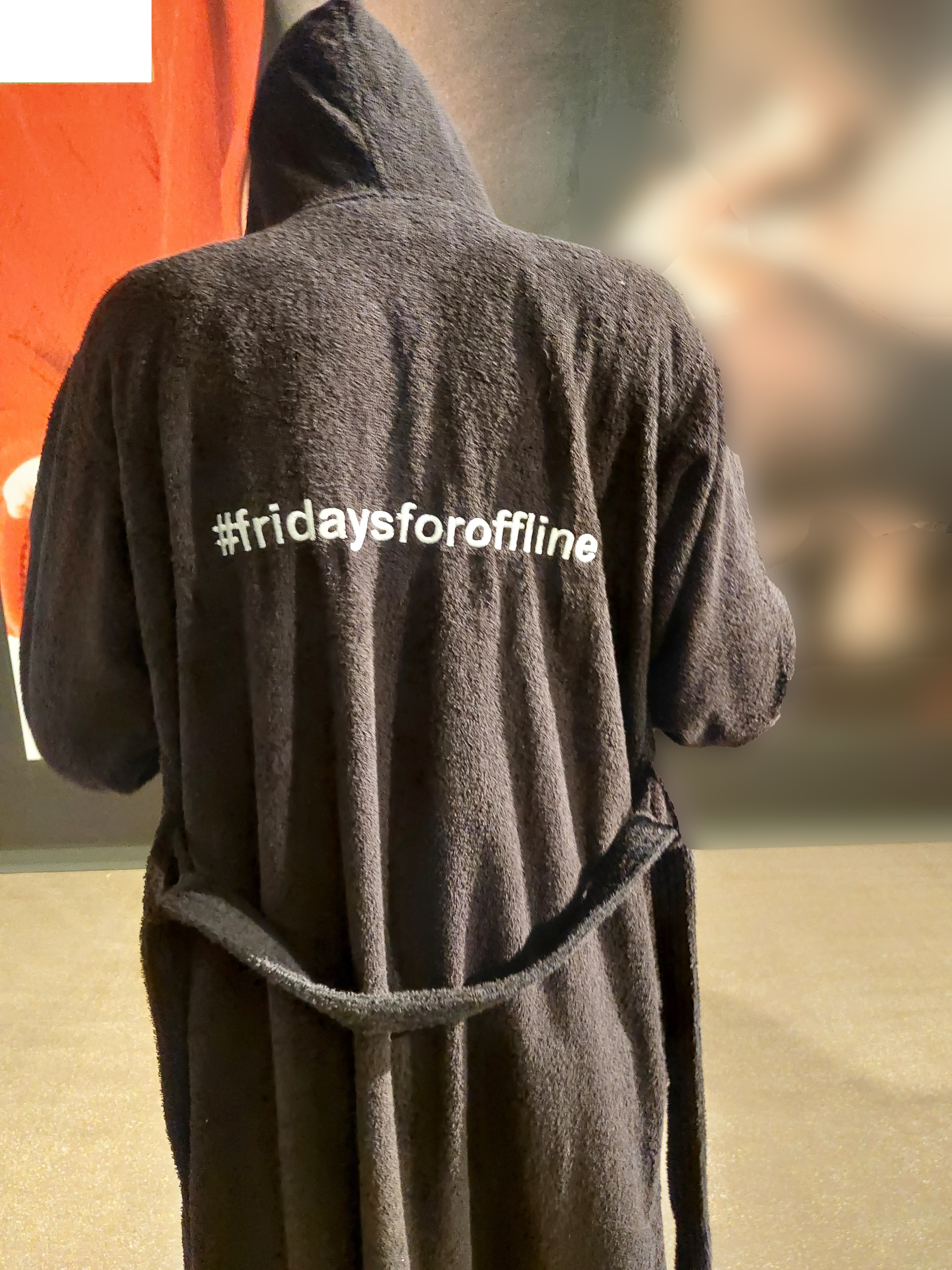 fridaysforofflineV2